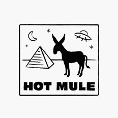 Louis Hautemulle - HHV Mag Artist & Partner Vinyl Charts aus 2021